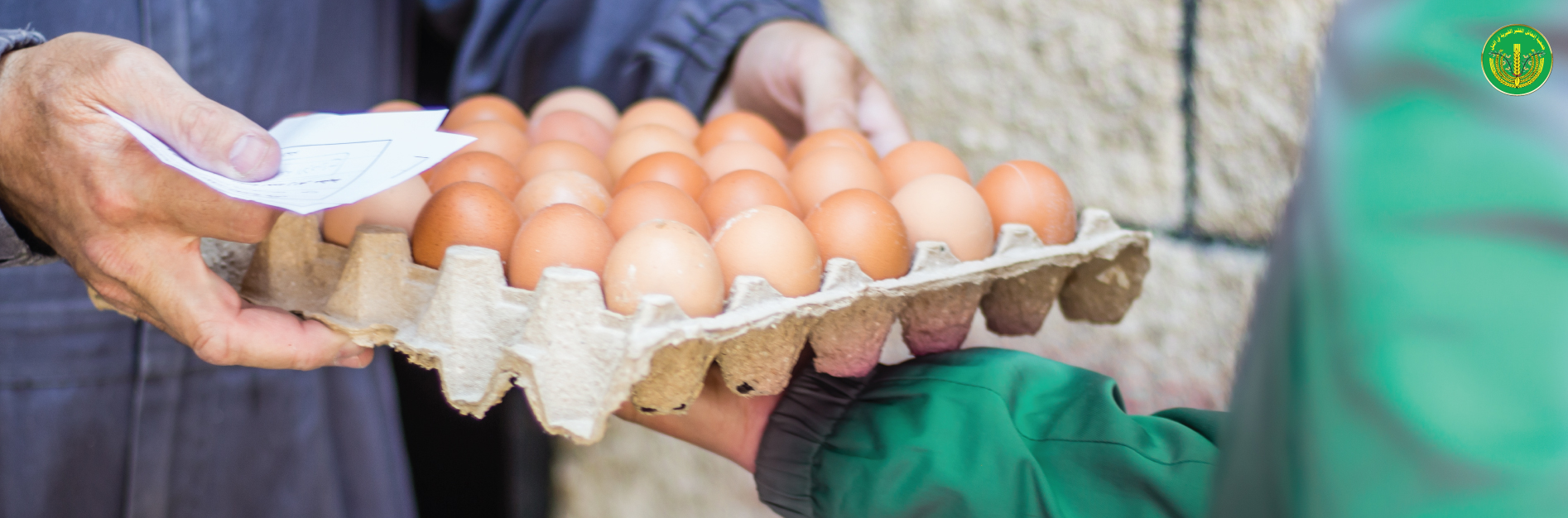 قسم الإدراج